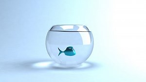 Fish Jumping Out Water Stock Footage Video (100% Royalty-free) 28458 | Shutterstock