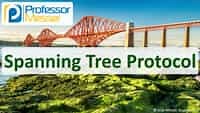 Spanning Tree Protocol - N10-008 CompTIA Network  : 2.3