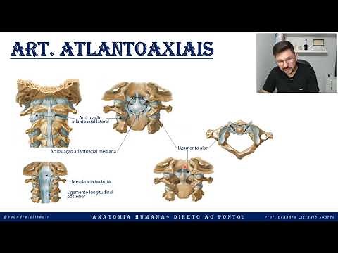 Articulação atlantoaxial - Sistema articular - Anatomia direto ao ponto!