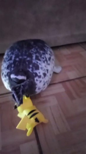 tutorial de cuidad una foca