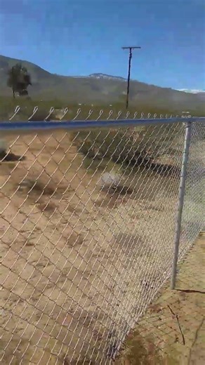 Johnson valley job