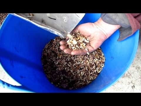 Ray's Black-Walnut Cracking Machine