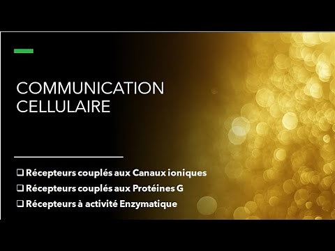 Communication Cellulaire 1