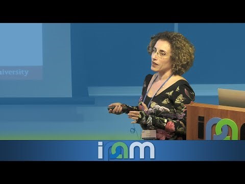 Ilenia Battiato - Pushing Multiscale Modeling of Battery Systems through Symbolic-Numeric Computing