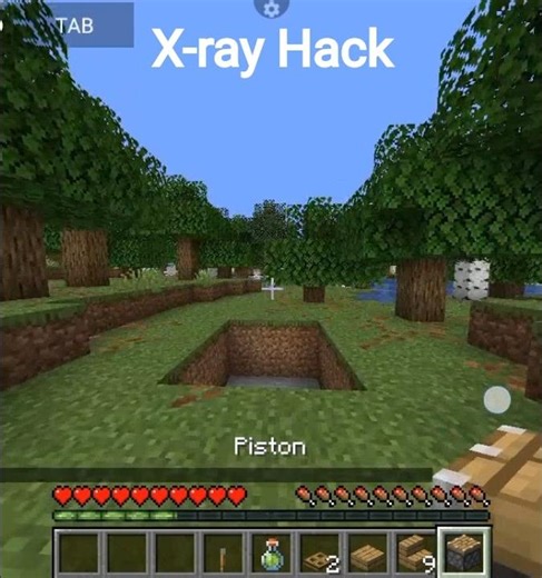 X-ray Hack in Minecraft #buildhacks#minecraft#shorts