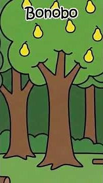 Every Ape Type Explained in 8 Minutes | Apes vs Monkeys