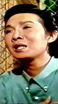 SỐC! Vũ Linh tha thứ Phương Hồng Thủy vô điều kiện...