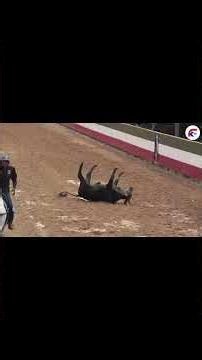 Turno 27 - Luis Sarmiento. LATINO AMERICANO DE COLEO EDICION 2026 / Dia 1 #kalutv