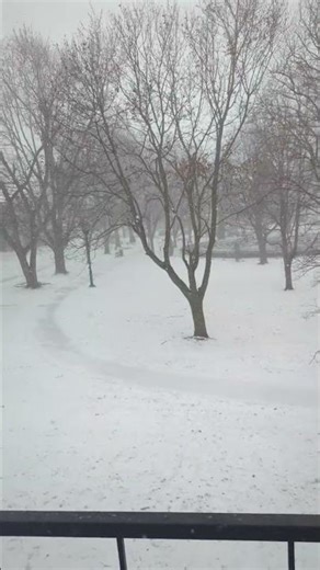 Snowing Heavy In Ontario Canada #winter #snow #cold