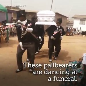 Guaranteed to bring a smile to your face. | SBS Australia