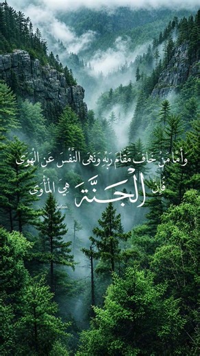 جنةٌ عرضها السموات والأرض 🌿🤍 | ﴿وَأَمَّا مَنْ خَافَ مَقَامَ رَبِّهِ﴾
