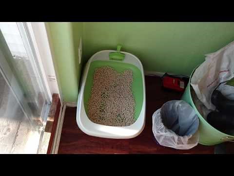 Litter Breeze System Review