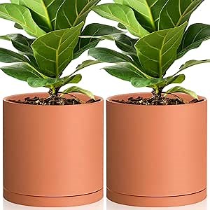 Jingmore 2 Pack Large Terracotta Pots 10 Inch Terra Cotta Pot with Saucer and Drainage Hole, Large Cylinder Planter for Indoor Plants Flowers