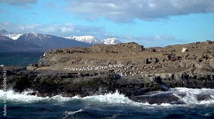 Beautiful view from a beagle channel tour boat of an island with sea lions and seals and with snowed mountains on the background and ocean waves crashing on the island in Tierra del Fuego Argentina