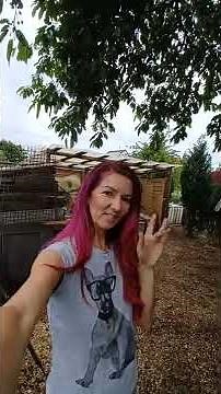 Automatische Hühnerklappe