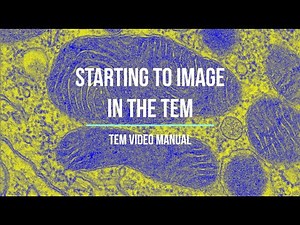 Chapter 5 - TEM Video Manual - Starting to image
