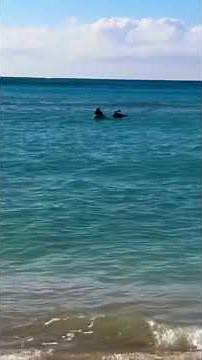 Hawaiian Songs with Waikiki Beach this Sunday Morning, December 21, 2025