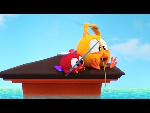 Where's Chicky? Funny Chicky 2023 | CHICKY & POYO | Cartoon in English for Kids | New episodes