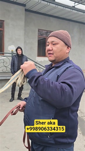 #shorts Videosi 👍 Bosib👆 Koring#cow #animals #UZBEKISTAN #MOLBOQISH