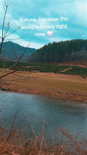 At a time when collective problem-solving is most needed, the nation struggles to find common ground, underscoring the urgent need for empathy, accountability, and a renewed commitment to democratic values. My heart is heavy 💔 #peace #for #ourcountry #natureheals #fyp