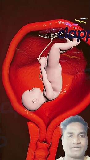 “Fertilization to Child Birth 👶 | 3D Animation Journey Inside the Womb 🌈 | Baby Growth Stages