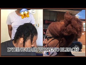 DYEING my sisters HAIR CARAMEL BLONDE + RICH COPPER DYE | NO BLEACH ft INECTO | South African YT
