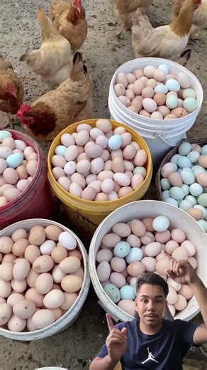 10 de novembro de 2025