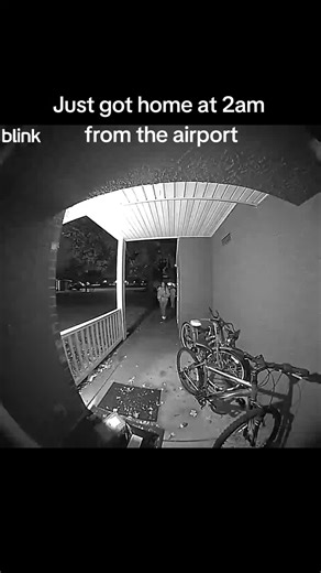 It's 2 am and me and my kids were welcomed home to this🤣 #jet2holidays #skunk