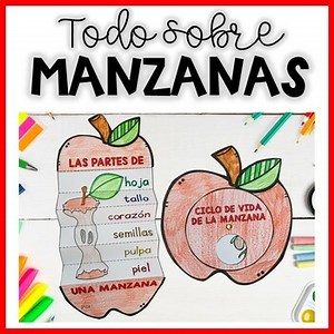 MANZANAS: Ciclo de vida y partes | Apple Life Cycle in Spanish