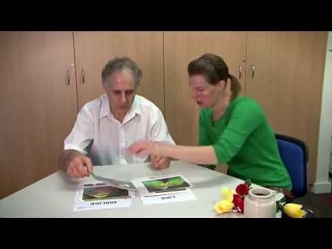 The Montessori Principles