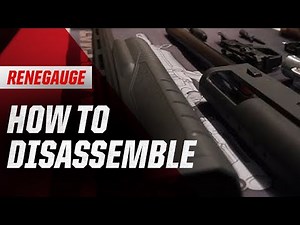 Renegauge: Disassembly