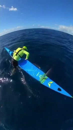 How to remount your surfski