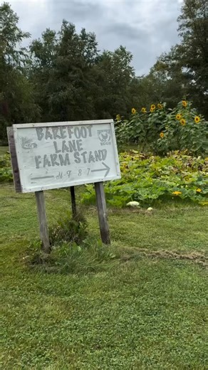 Okay, the farm stand looks a little more Fallish now…but let’s pretend this is a current video because videoing this on a bike nearly did me in last time 😅 Ordering for this Saturday’s farm stand pickup closes at 8AM Wednesday!! Don’t forget to get those orders in! https://www.hotplate.com/barefootlanemn/63d57899-5851-4a22-b267-8801266b22c8 | Barefoot Lane LLC