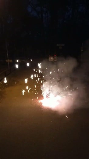 Turbo Polypen #pyro #pyrotechnica #fireworks