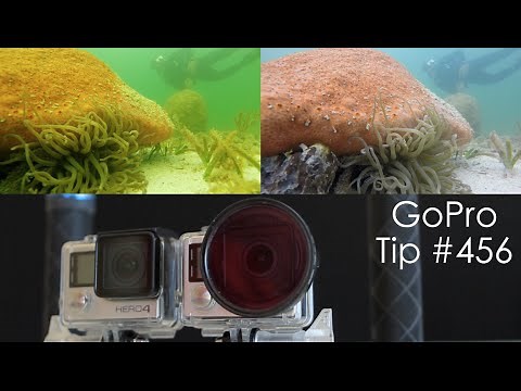 Green Water Underwater Comparison with Magenta Filter - GoPro Tip #456 | MicBergsma