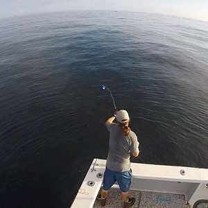 Season 8 of wicked tuna airs Sunday March 10th at 9pm only on Genius . Best season yet hope y’all love it #hottuna #wickedtuna #natgeo #pilgrimfilms #glosta #rockyneck Axalta Automotive Refinish Bass Pro Shops Shimano North America Fishing Cuda Brand Costa Sunglasses COAST Products OluKai Mercury Marine SeaDek Marine Nonskid @underfootmarineproducts Sea Vee Boats @seahawkpaintsoceania Lumitec Seaguar Fluorocarbon @blackfin_rods @diamondfishingproducts Clase Azul @pipewelders Simrad Yachting Pela