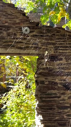 Today was Silver Comet Trail, biking one of Georgia’s most successful rails-to-trails projects. So much much more I should say about this beautiful adventure, but it’s late, and I’m exhausted. Orlando Montoya and biked *miles* MILES!!! #outdoors #bikes #biking #silvercomettrail #Georgia | Josephine Johnson