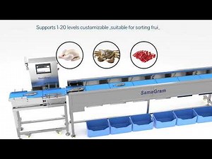 Waterproof Weight Sorter (IP65): Precision Checkweigher for Food Production Lines
