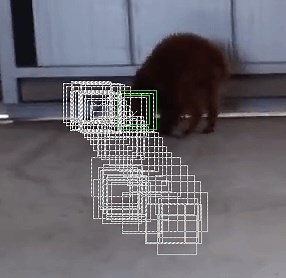 【AviUtl】モーショントラッキングを使って顔を隠す方法【追跡機能】