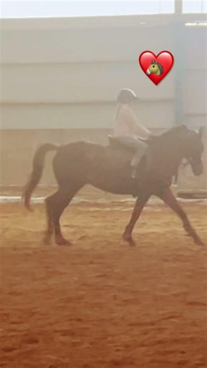 Was mögt ihr lieber Springreiten oder Dressurreiten ?🩷