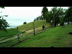 Vibrant culture, Southern Chile