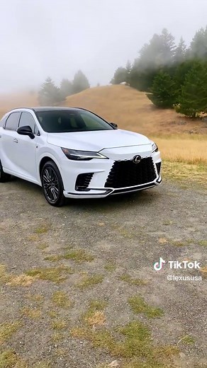 Unleash Power and Precision with Lexus RX 500h F SPORT Performance