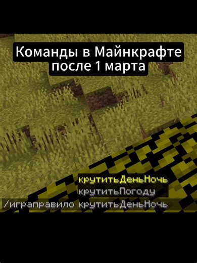 Постмартовские команды в Minecraft