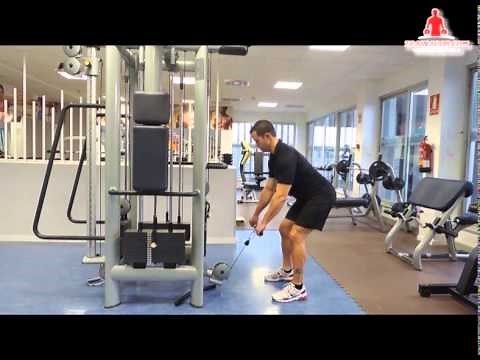 96. DORSAL - Remo inclinado en polea baja