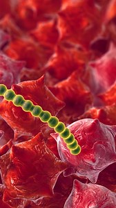 46K views · 519 reactions | What would happen if you crashed on an alien planet?  #WhatIf #SciFi #ScienceFiction #Space #SpaceScience | What If | Facebook