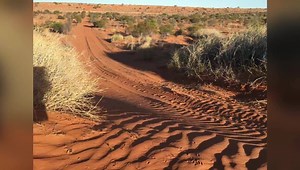 3.1K views · 139 reactions | Good morning! Hope you’re all doing well for a Wednesday. Here’s a quick highlight video of our Simpson Desert travels along the Colson Track. I know some of you will ask so here’s the deal: this was on Crown Land in the NT, so no Aboriginal Land permit needed UNTIL you reach the Land Trust where the Madigan Line crosses. For that section we did need a permit. Enjoy | Travel Outback Australia | Facebook