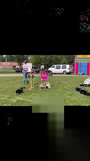 7.1K views · 143 reactions | The Quack Pack USA on Reels | Facebook