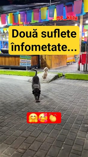 Nu uita să faci bine atunci când poți! | Don't forget to do well when you can!