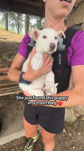 708K views · 39K reactions | He only flies first class — with dad’s arm as his headrest! ✈️❤️ Ed says his pup Marshall loves flying, even if it means a little slobber everywhere — he wouldn’t have it any other way! 殺 These two are always flying first class  See more of their adventures on Instagram: thedo.do/Edfoleyz and TikTok: thedo.do/edfoleyz | The Dodo | Facebook