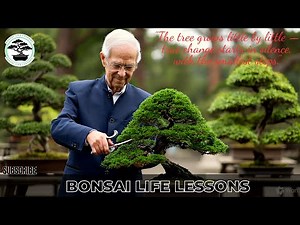 Bonsai life lesson - The tree grows little by little